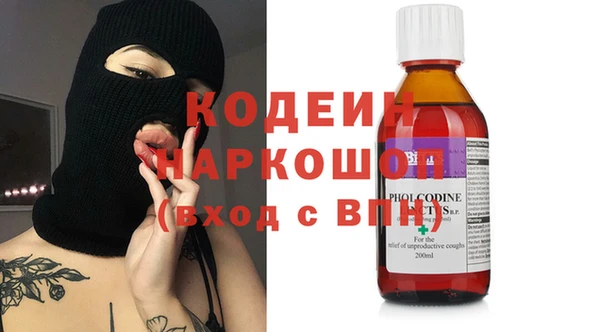 хмурый Алексин