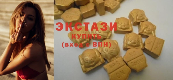 хмурый Алексин