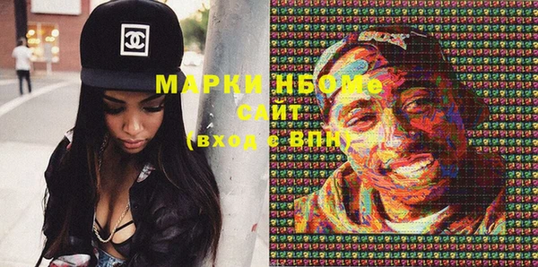 хмурый Алексин