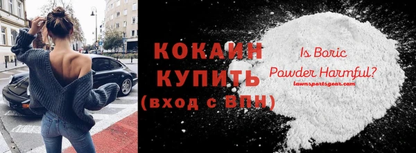 хмурый Алексин