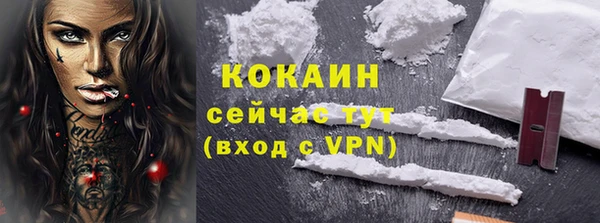 хмурый Алексин