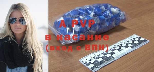 хмурый Алексин