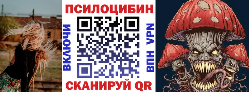 Псилоцибиновые грибы Cubensis гидра как зайти Лениногорск где купить наркотик